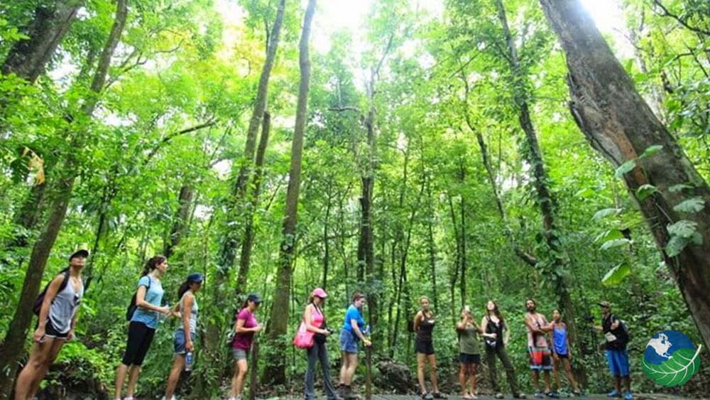 Cabo Blanco Wildlife Reserve