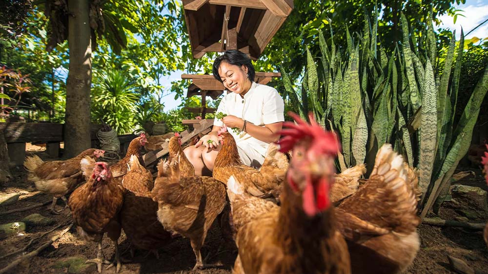 Local Farmers