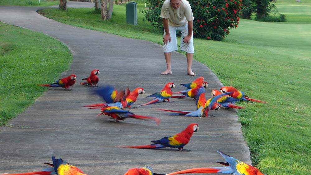 Our Famous Nature Corridor