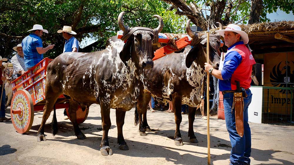 Costa Ricans